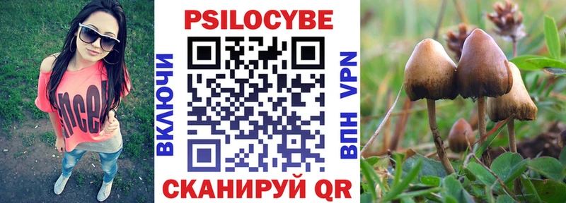продажа наркотиков  Апшеронск  Галлюциногенные грибы Psilocybine cubensis 