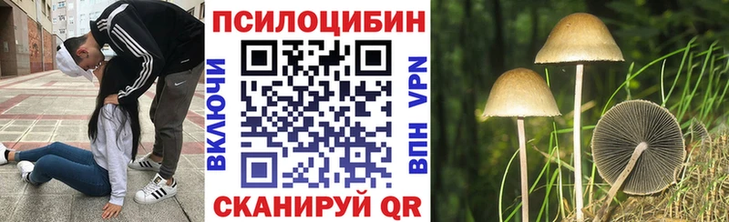 Галлюциногенные грибы Psilocybe Апшеронск